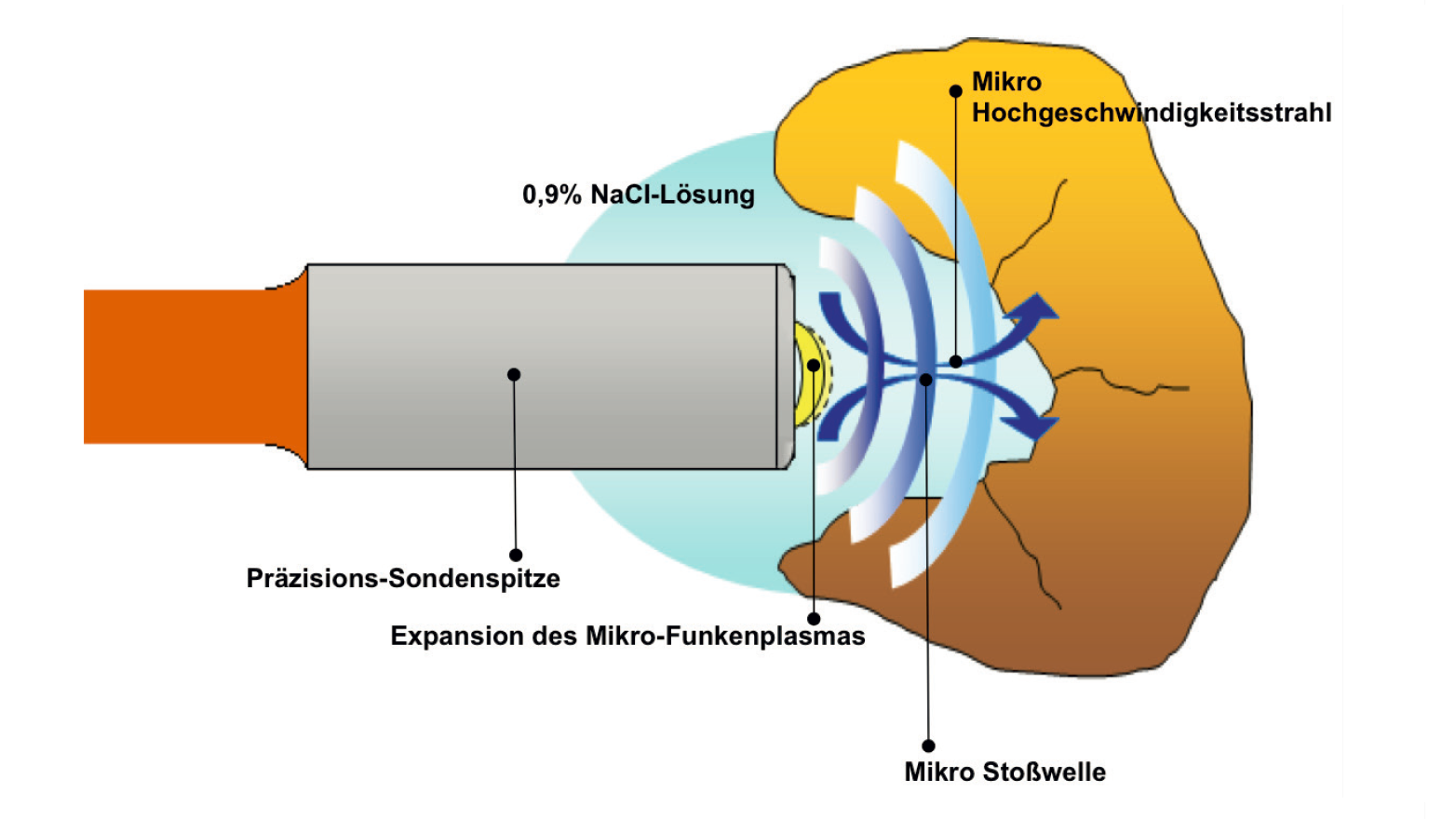 Medizin Walz Elektonik GmbH