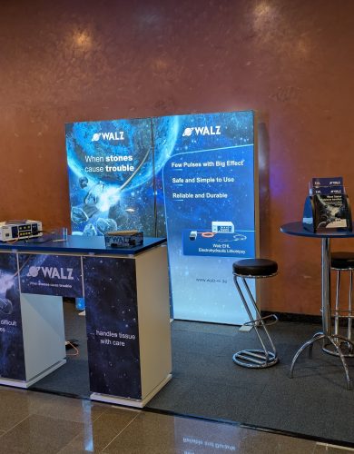 PXL_20250206_170637621-1